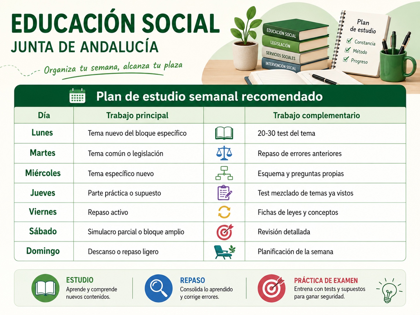 Planificacion de estudio Educacion Social Junta de Andalucia